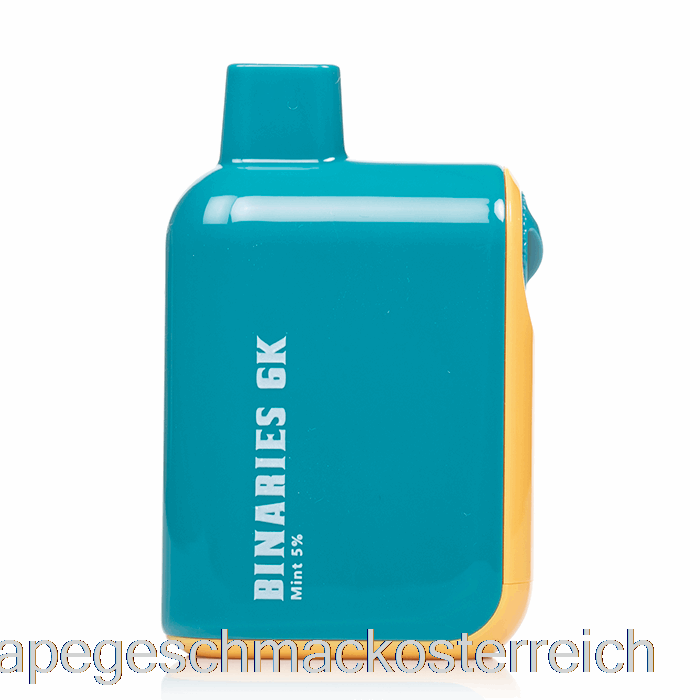 Horizon Binaries 6k 6000 Einweg-Mint-Vape-Geschmack